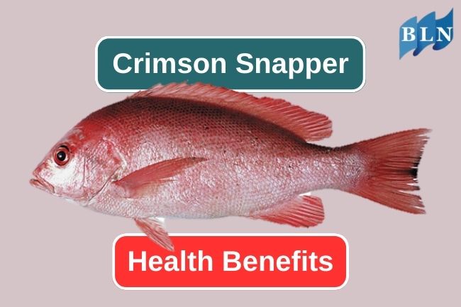 5 Reasons Why Crimson Snapper Is Good For Your Health